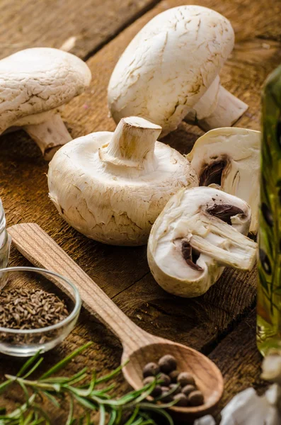 Bio garlic, spices and wild mushrooms from the home garden — Stock Photo, Image