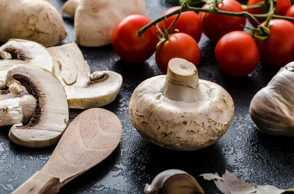 Bio garlic, spices and wild mushrooms from the home garden — Stock Photo, Image