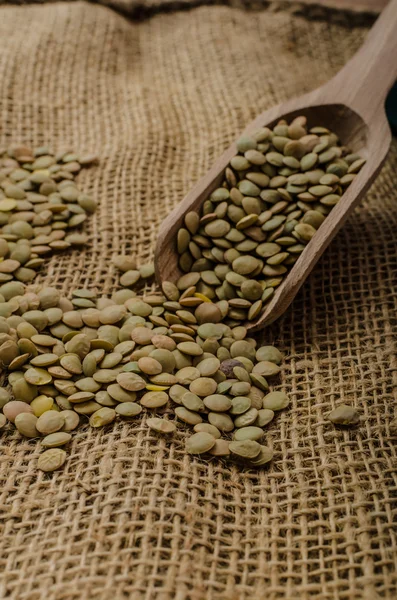 Varyasyonları mercimek, mercimek biyo — Stok fotoğraf