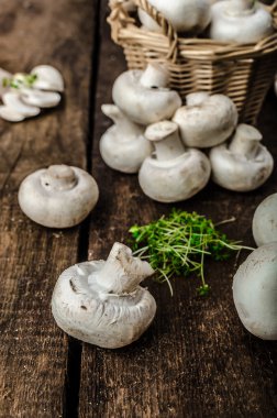 Ham, taze mantar ve biyografi