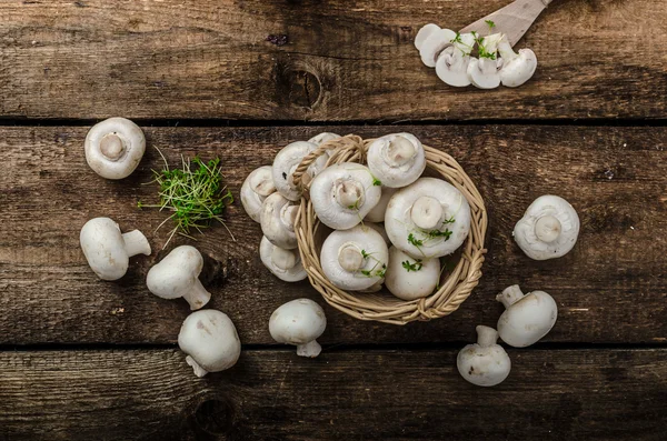 Mushrooms raw, fresh and bio — Stock Image Mushrooms raw, fresh and bio Royalty Free Stock Photos