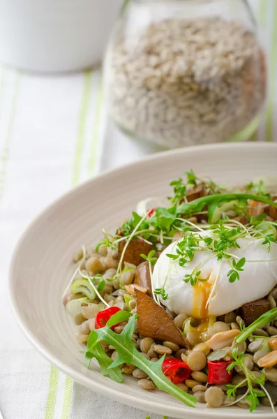 Salada de lentilha com ovo escalfado — Fotografia de Stock