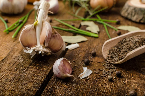 Onions, garlic and herbs bio from the garden — Stock Photo, Image