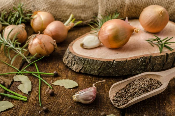 Onions, garlic and herbs bio from the garden — Stock Photo, Image