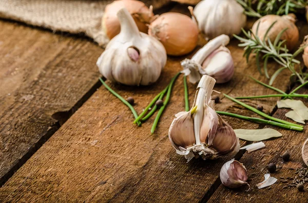 Onions, garlic and herbs bio from the garden — Stock Photo, Image