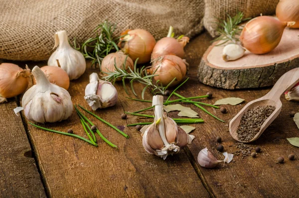 Onions, garlic and herbs bio from the garden — Stock Photo, Image