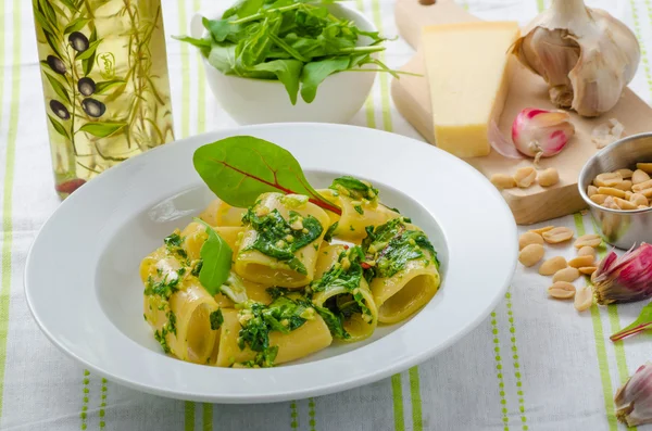 Rigatoni with garlic and herbs pesto — Stock Photo, Image