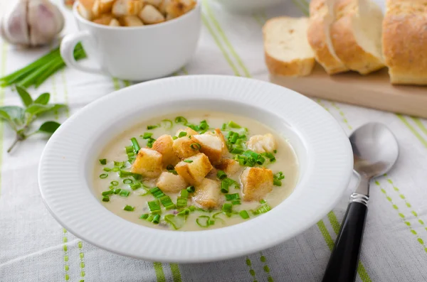 Knoflooksoep met croutons, lente-uitjes en bieslook — Stockfoto