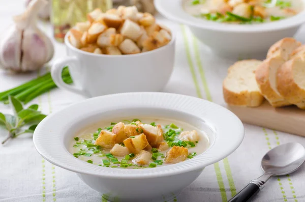 Garlic soup with croutons, spring onions and chives — Stock Image Garlic soup with croutons, spring onions and chives Stock Image
