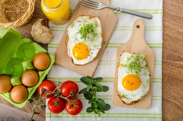 Hälsosam middag panini rostat bröd, ägg och grönsaker — Stockfoto