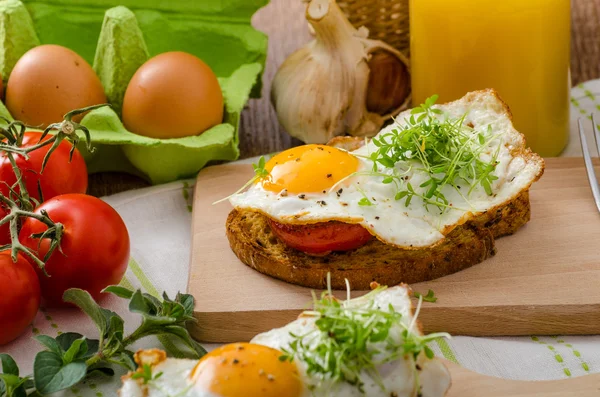 Healthy dinner panini toast, egg and vegetable — Stock Photo, Image