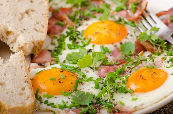 Våromelett med bacon, egg og urter – stockfoto