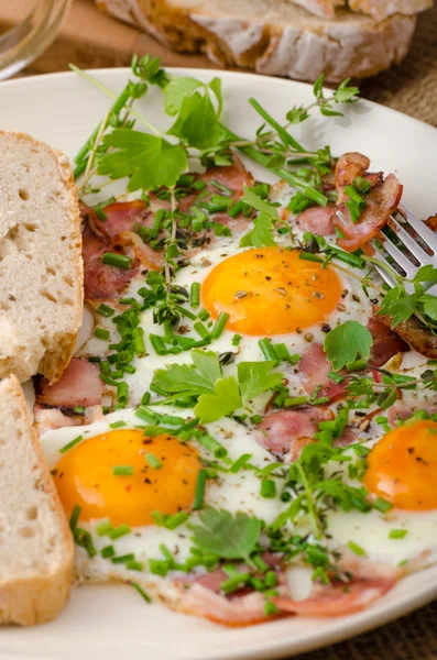 Spring omelette with bacon, egg and herbs — Stock Photo, Image