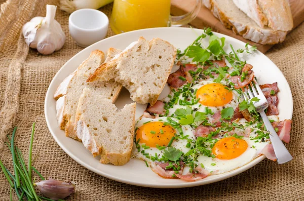 Tortilla de primavera con tocino, huevo y hierbas —  Fotos de Stock