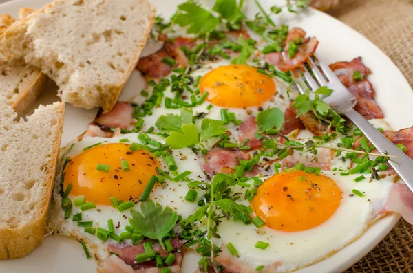 Tortilla de primavera con tocino, huevo y hierbas — Foto de Stock