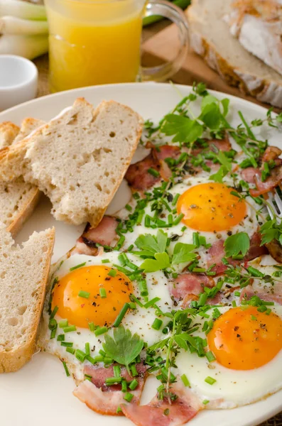 Tortilla de primavera con tocino, huevo y hierbas — Foto de Stock