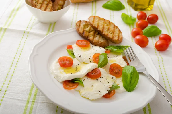 Salada de mussarela e tomates — Fotografia de Stock