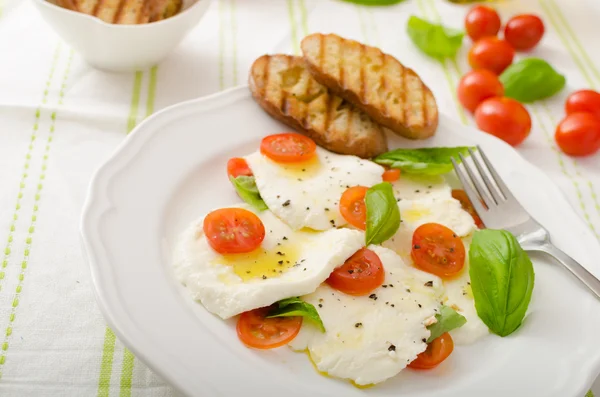 Salade van mozzarella en tomaten — Stockfoto