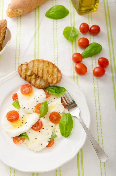 Mozzarella ve domates salatası — Stok fotoğraf