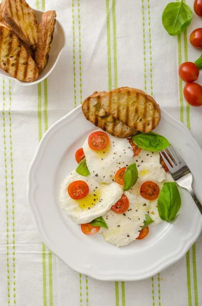 Mozzarella ve domates salatası — Stok fotoğraf