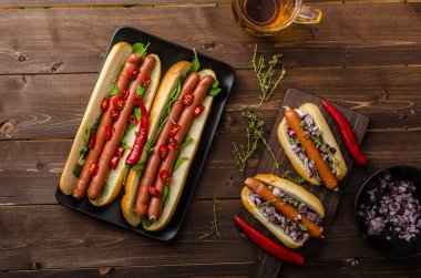 Tüm sığır köpekler çeşitleri