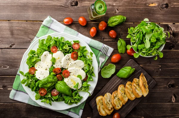 Salade de laitue d'agneau avec mozzarella, tomate et basilic — Photo