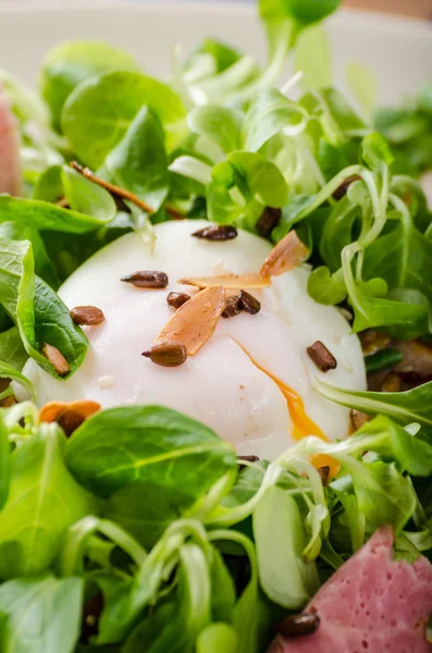 Haşlanmış yumurta ve fındık ile kuzu 's marul salatası — Stok fotoğraf