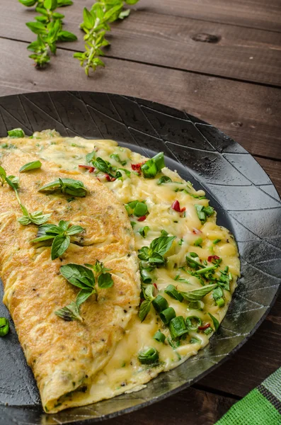 Ser omlet z dymki, zioła i chili — Zdjęcie stockowe