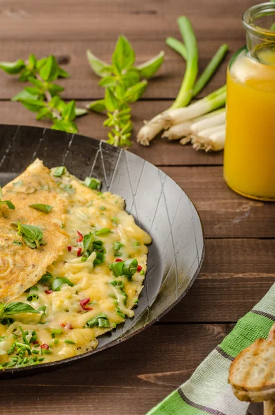 Kaas omelet met lente-uitjes, kruiden en Spaanse peper — Stockfoto