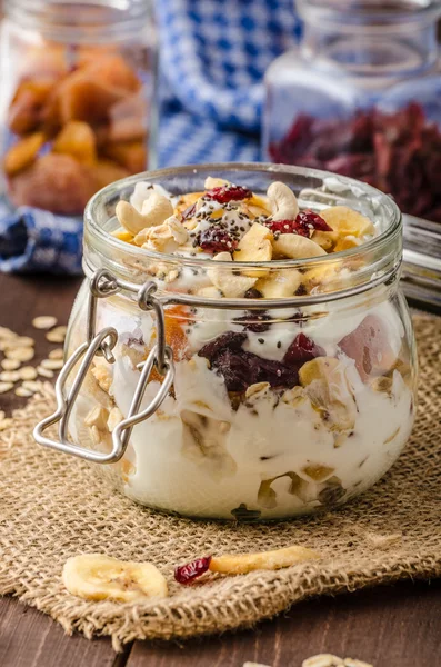 Zelfgemaakte yoghurt met muesli, gedroogde vruchten en noten bio — Stockfoto