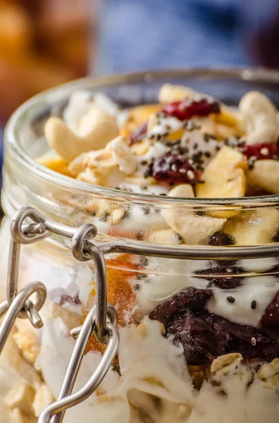 Hausgemachter Joghurt mit Müsli, Trockenfrüchten und Nüssen Bio — Stockfoto