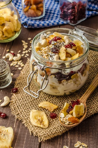 Yogur casero con granola, fruta seca y frutos secos bio — Foto de Stock