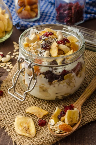 Házi joghurt, granola, szárított gyümölcs és dió bio — Stock Fotó