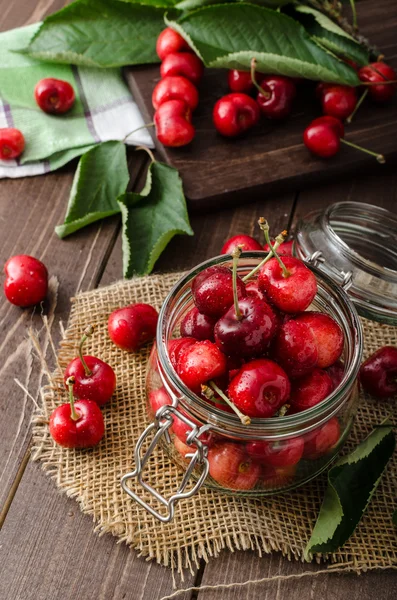 Freshly picked cherries — Stock Photo, Image