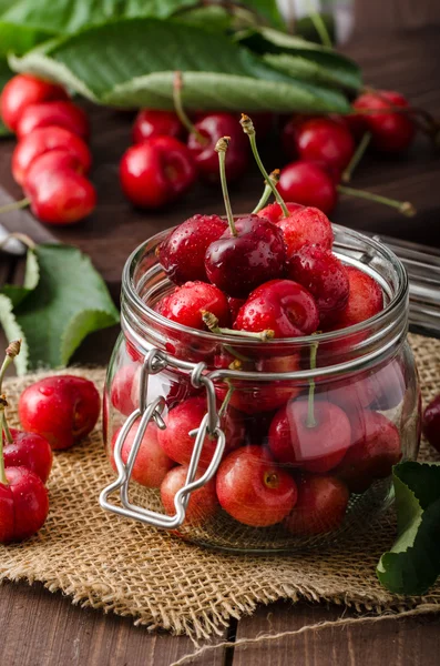 Cerezas recién recogidas —  Fotos de Stock