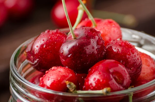 Freshly picked cherries — Stock Photo, Image