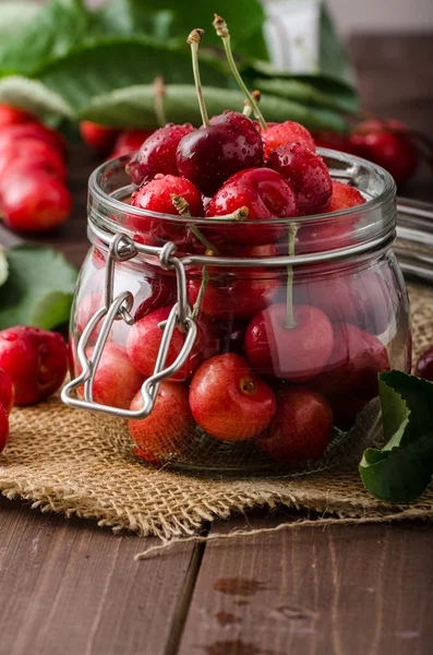 Freshly picked cherries — Stock Photo, Image