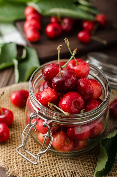 Freshly picked cherries — Stock Photo, Image