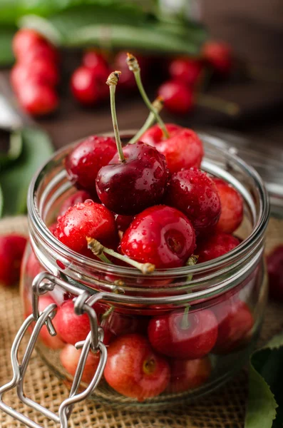 Cerezas recién recogidas —  Fotos de Stock