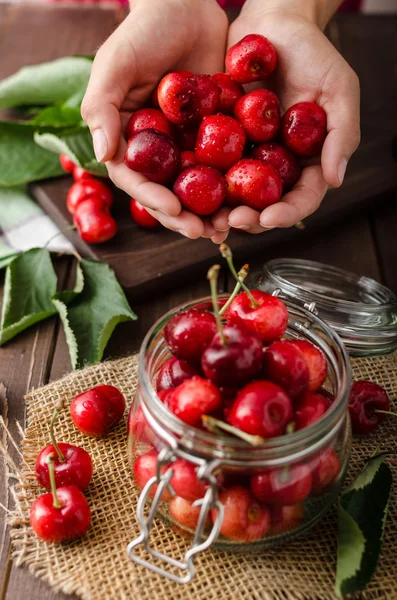 Nyplockade körsbär — Stockfoto