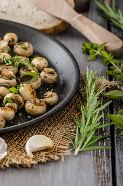 Salade de petits champignons et herbes — Photo