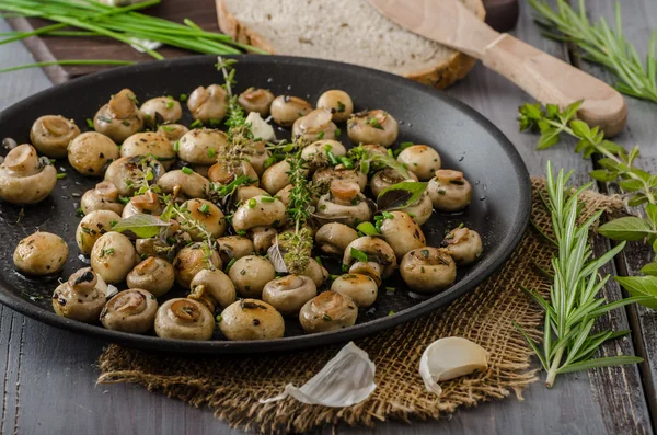 Ensalada de champiñones y hierbas — Foto de Stock