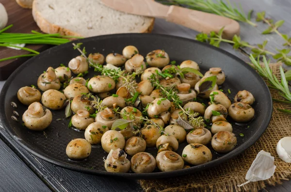 Otlar ve küçük mantar salatası — Stok fotoğraf