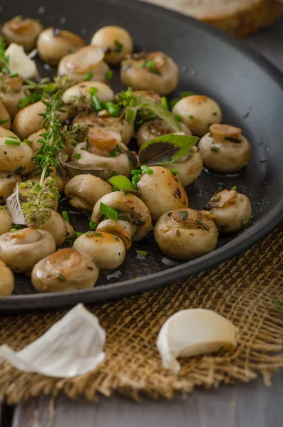 Salada de pequenos cogumelos e ervas — Fotografia de Stock