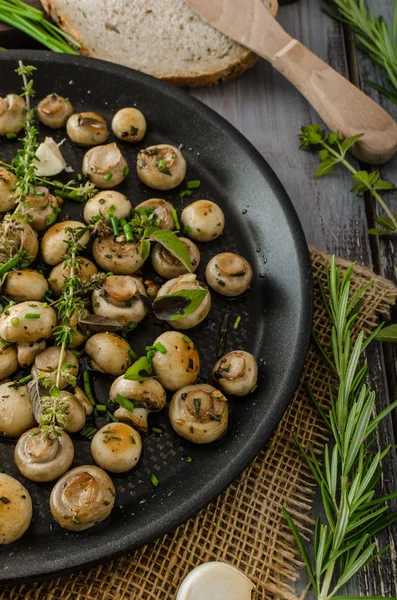 Салат из мелких грибов и трав — стоковое фото
