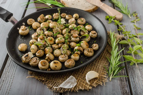 Salad of small mushrooms and herbs — Stock Photo, Image