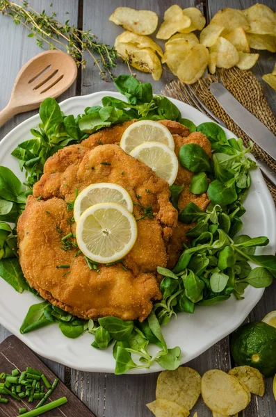 Tysk schnitzel — Stockfoto