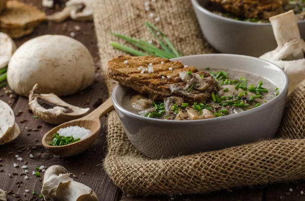 Sopa de setas — Foto de Stock