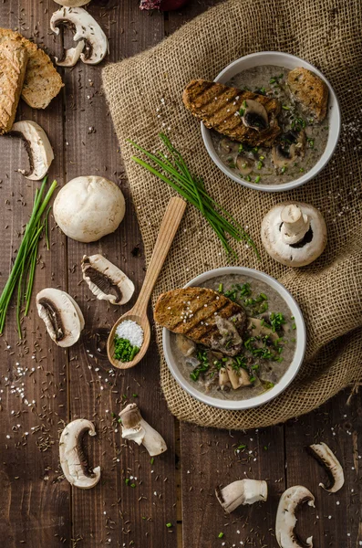Sopa de cogumelos — Fotografia de Stock