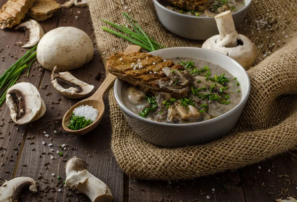 Pilzsuppe — Stockfoto